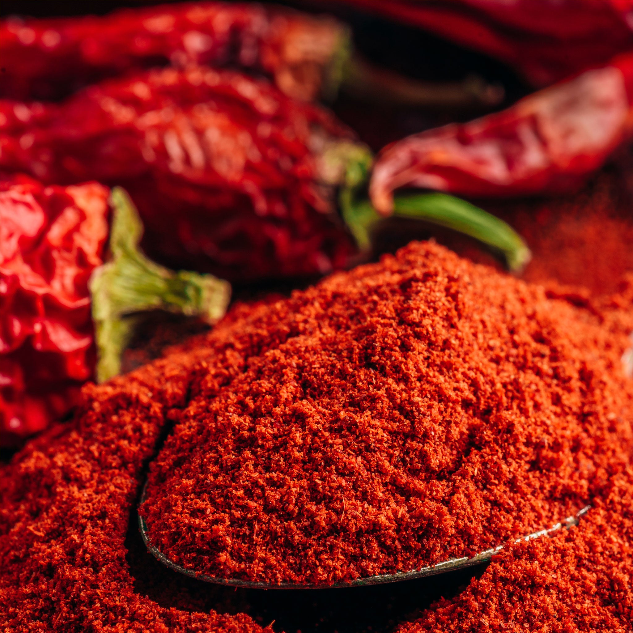Red chili powder in a spoon with red chili peppers in the background