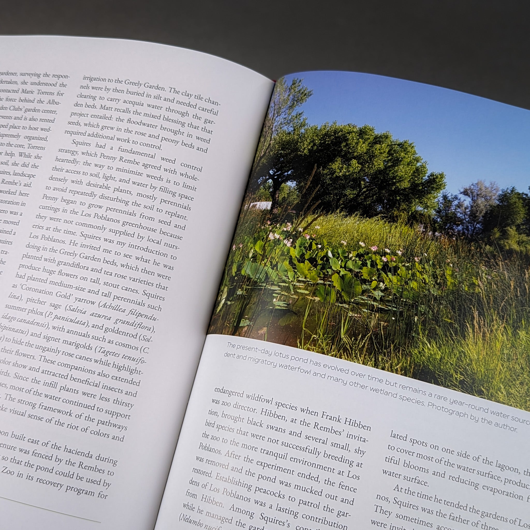 The Gardens of Los Poblanos: by Judith Phillips | Los Poblanos Farm Shop