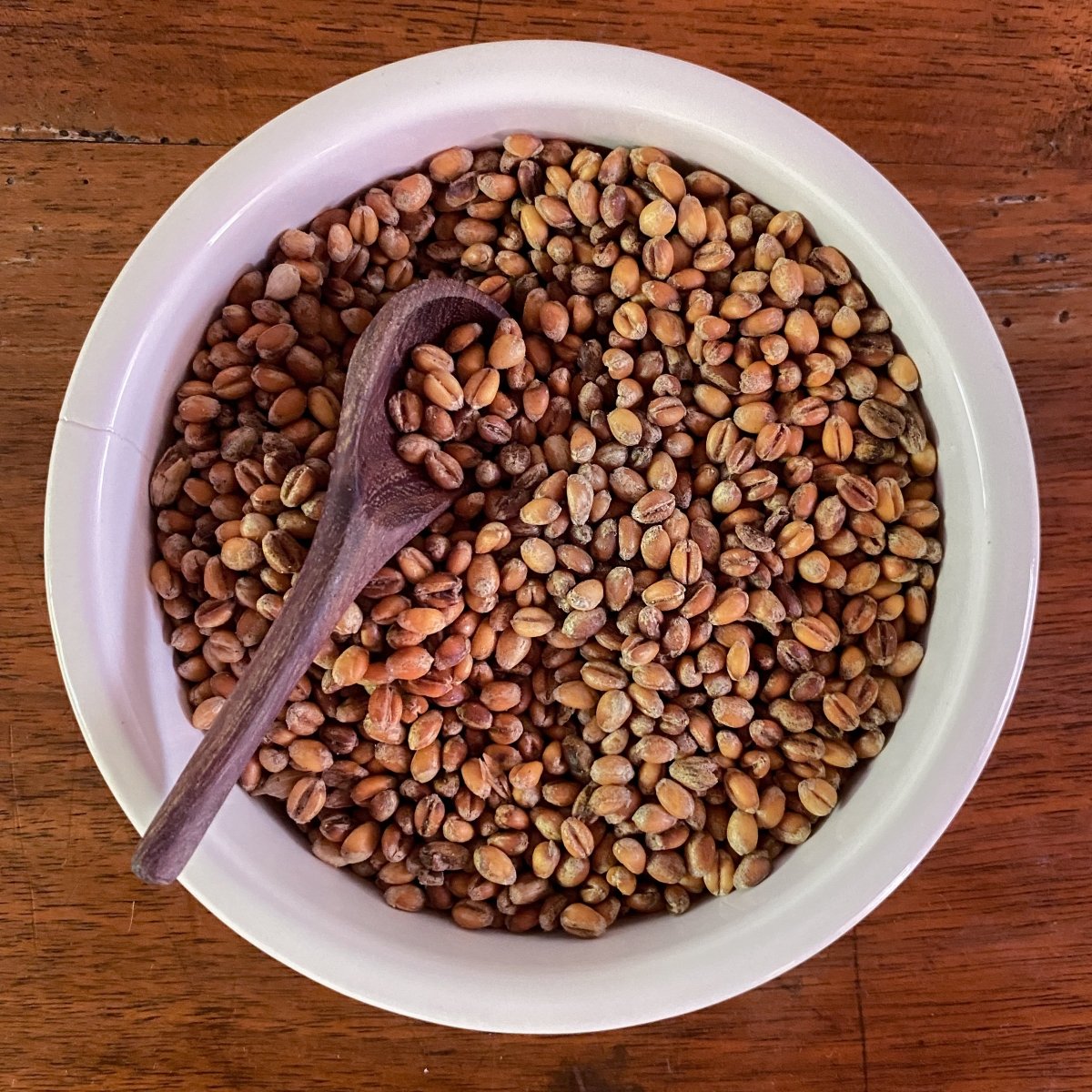 Crunchy White Sonora Wheat Berries