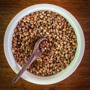 Los Poblanos White Sonora Wheat Berries