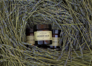 Los Poblanos Lavender Salve in Lavender Wreath