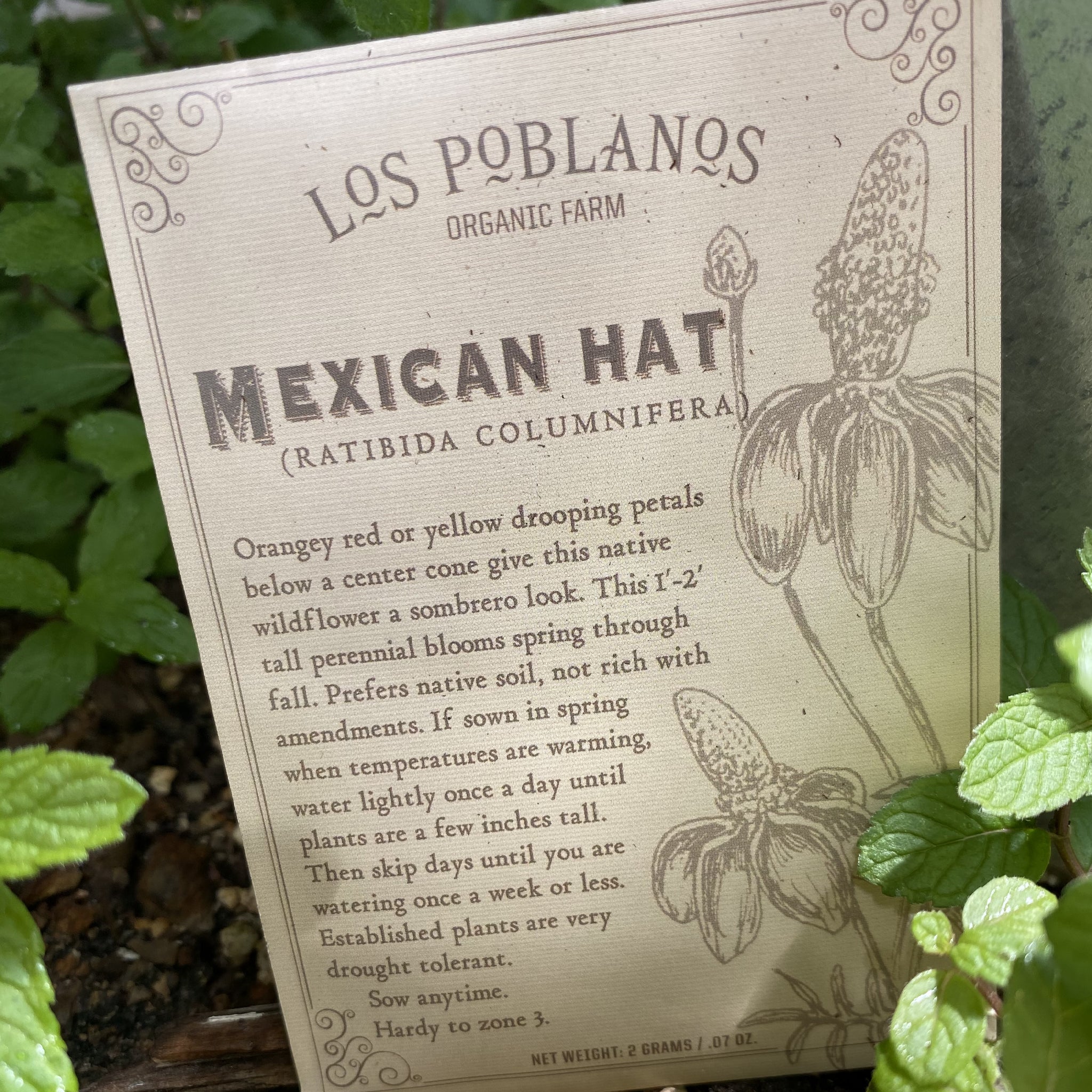 Los Poblanos Mexican Hat Seeds
