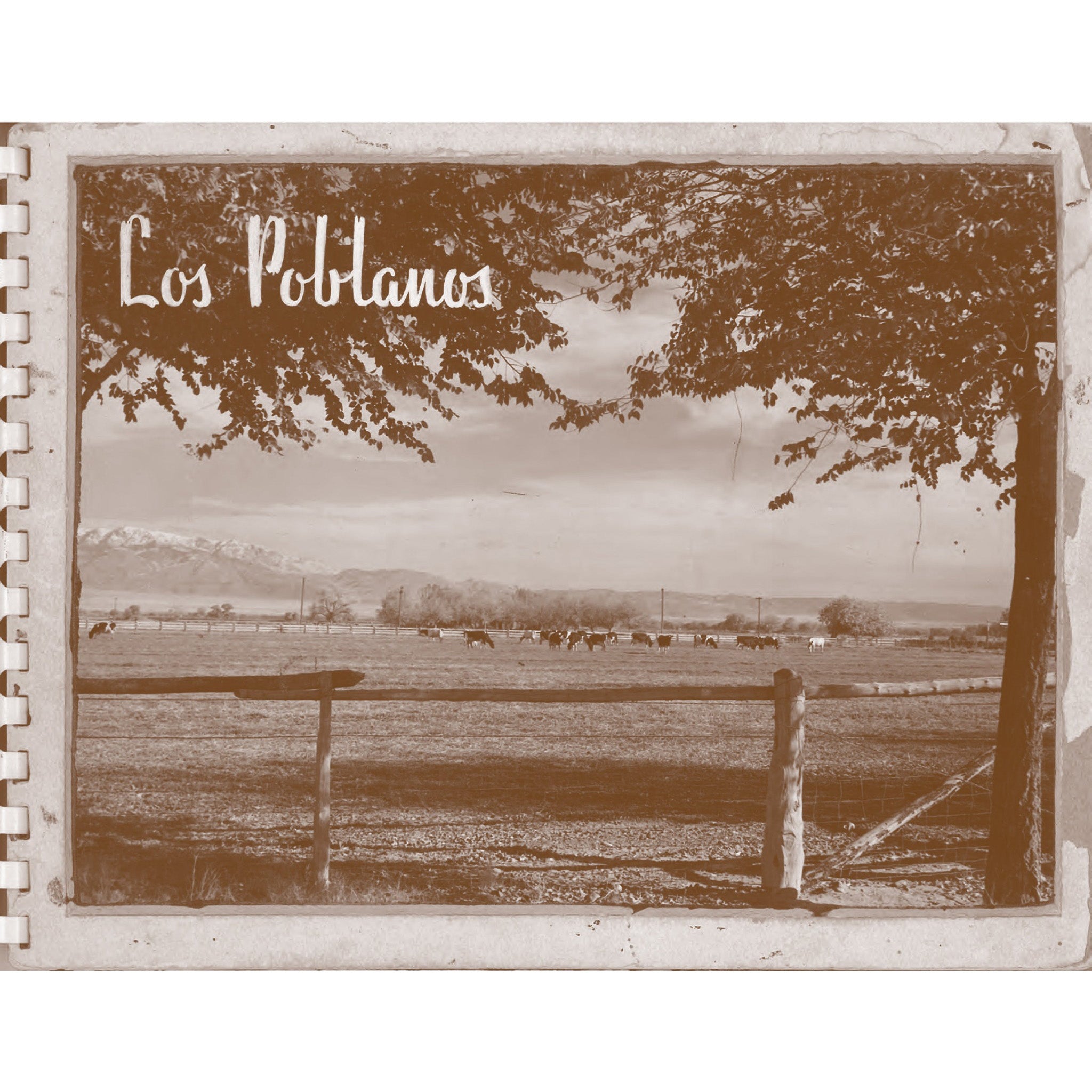 Los Poblanos Vintage Postcard