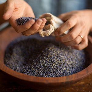 Los Poblanos Bowl of Lavender