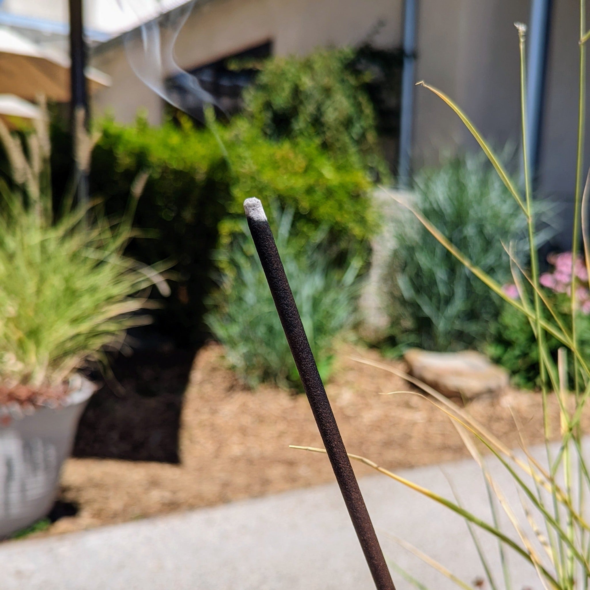 Flyaway Sticks at Campo