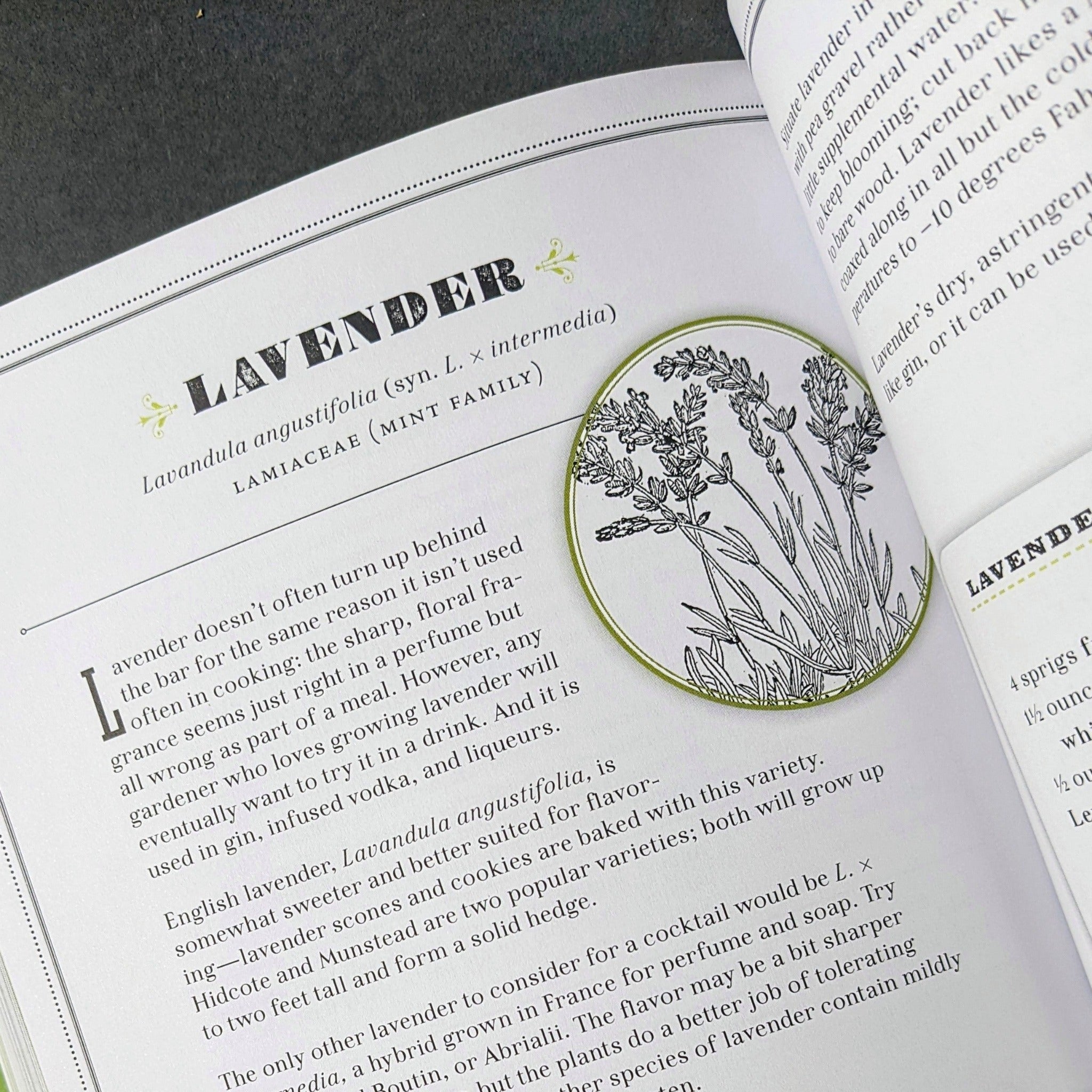 The Drunken Botanist: The Plants that Create the World's Great Drinks - Los Poblanos Farm Shop